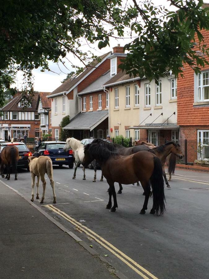 Brockenhurst Apartments Esterno foto